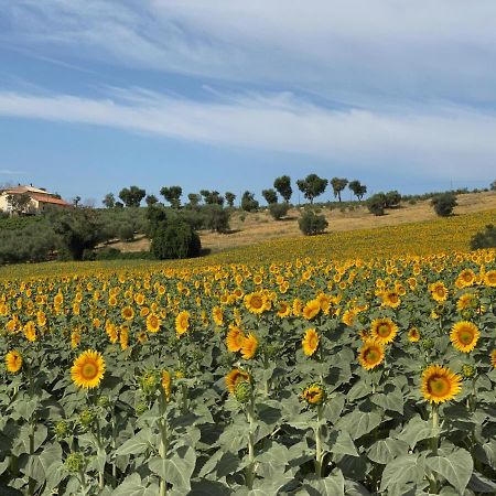 Girasole Leilighet San Marcello  Eksteriør bilde