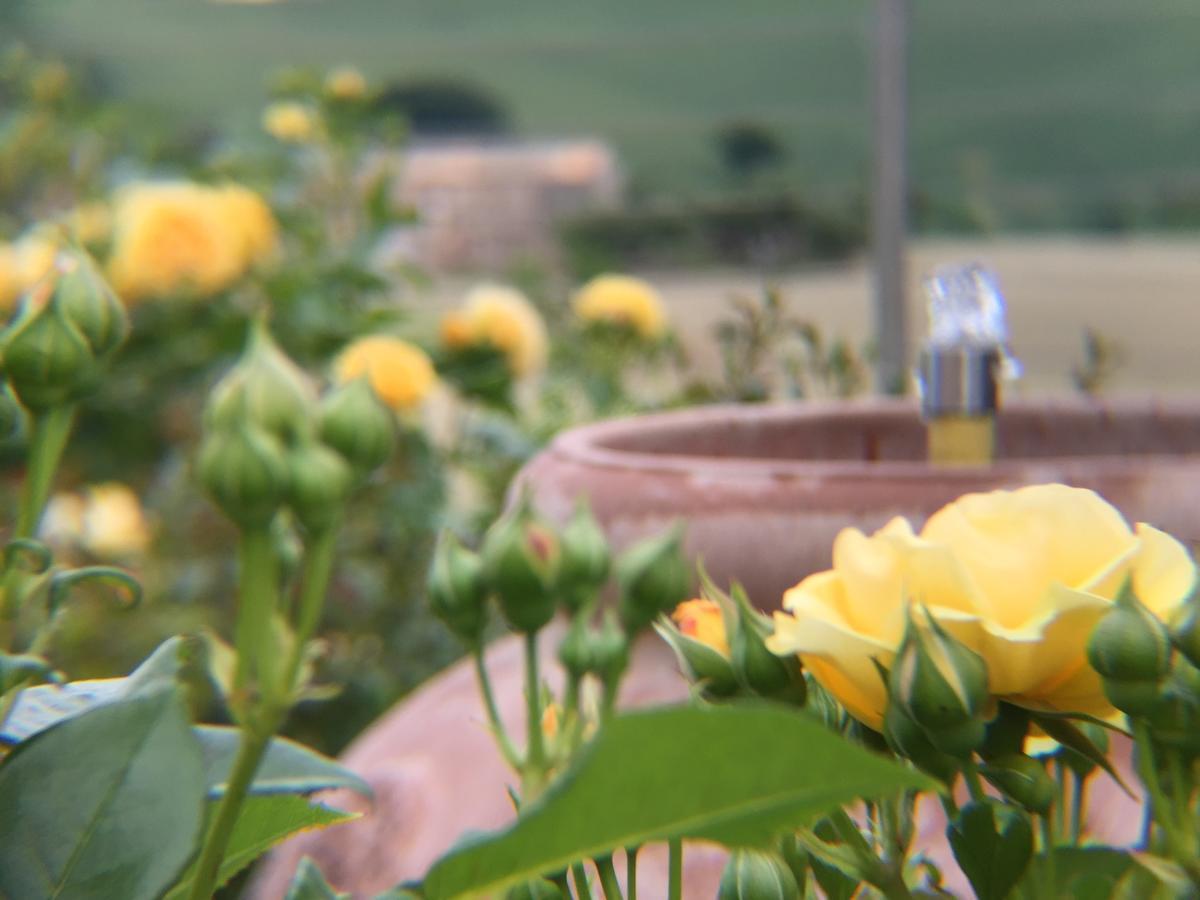 Girasole Leilighet San Marcello  Eksteriør bilde